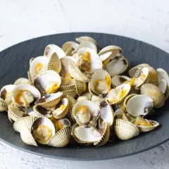 Un plato de berberechos al vapor, listos para disfrutar.