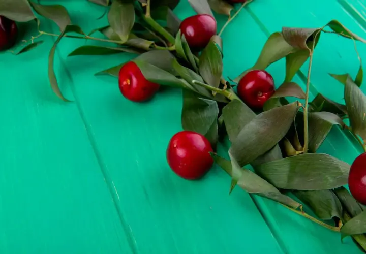 Frutos rojos brillantes sobre fondo verde turquesa, evocando la diferencia entre picota y cereza.