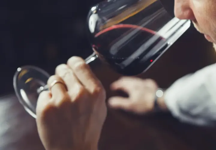 Hombre cata vino tinto, analizando su aroma. ¿Qué son los sulfitos? Se usan para conservar el vino.