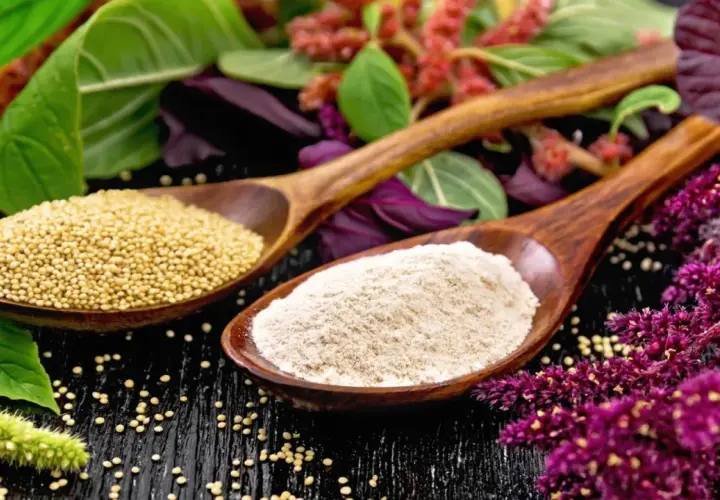 Cucharas de madera con semillas y harina de amaranto que es un grano ancestral, rodeadas de sus flores y hojas.