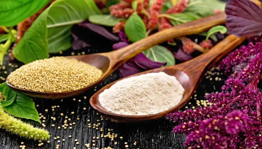 Cucharas de madera con semillas y harina de amaranto que es un grano ancestral, rodeadas de sus flores y hojas.