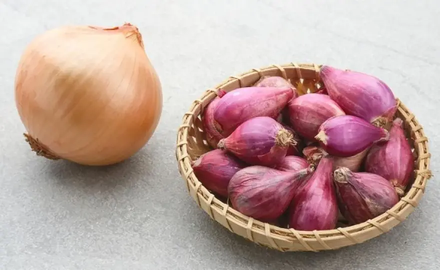 Qué es la chalota - Diferencias con la cebolla y cómo cocinarla