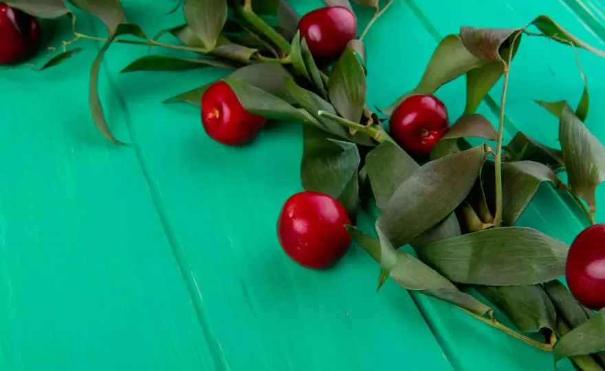 Diferencia entre picota y cereza - ¿Cómo reconocer la auténtica?
