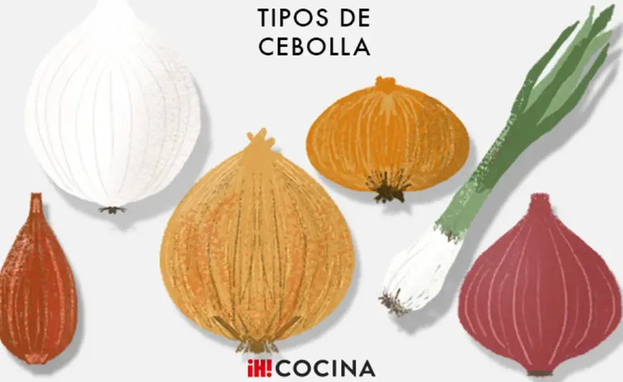 Tipos de cebolla - Cómo elegir la variedad ideal para cada receta