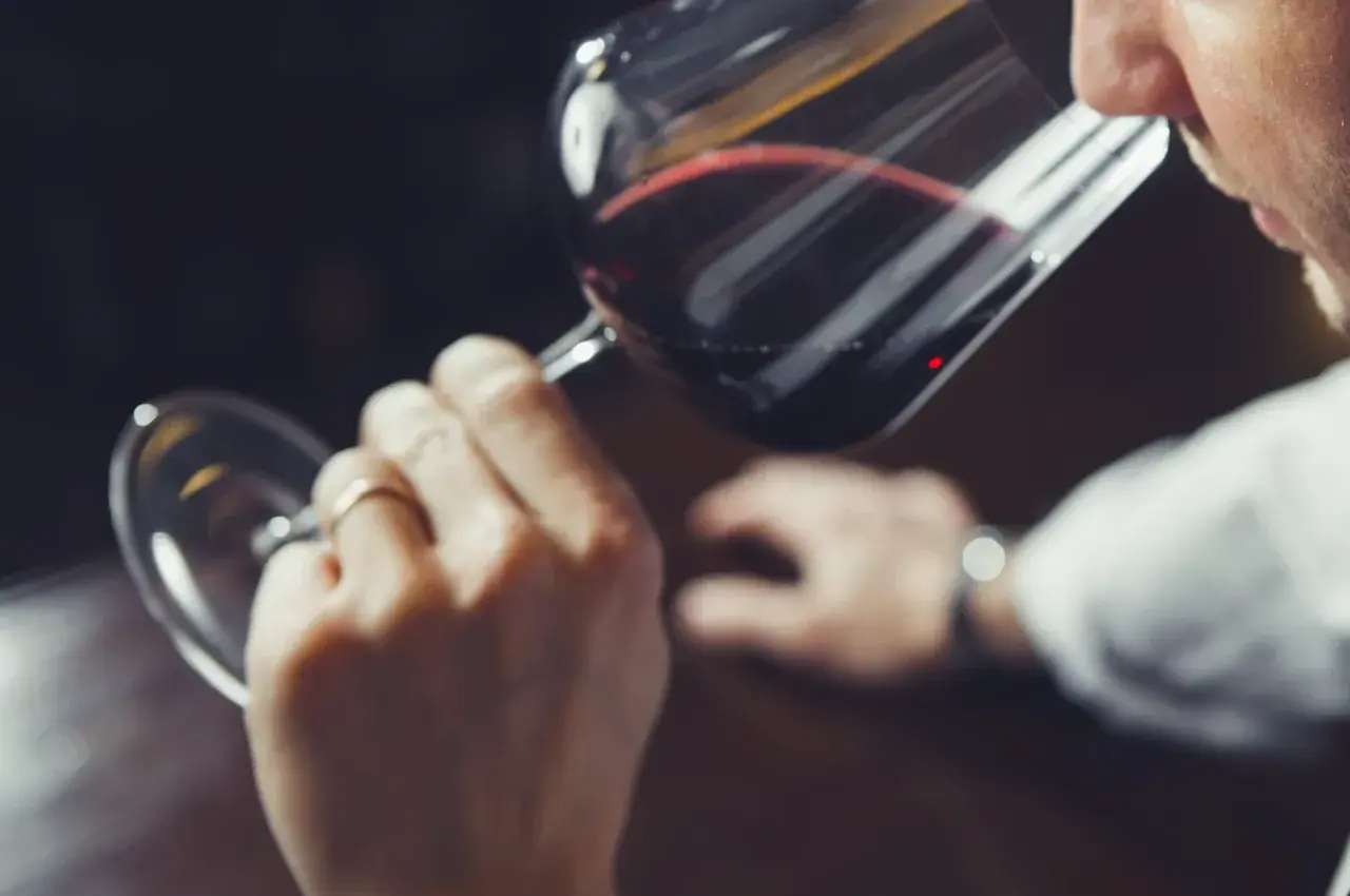 Hombre cata vino tinto, analizando su aroma. ¿Qué son los sulfitos? Se usan para conservar el vino.