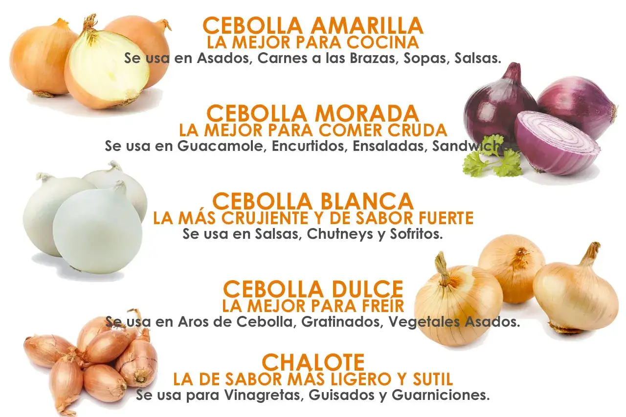 Tipos de cebolla: amarilla para cocinar, morada cruda, blanca crujiente, dulce para fre&iacute;r y chalote sutil.
