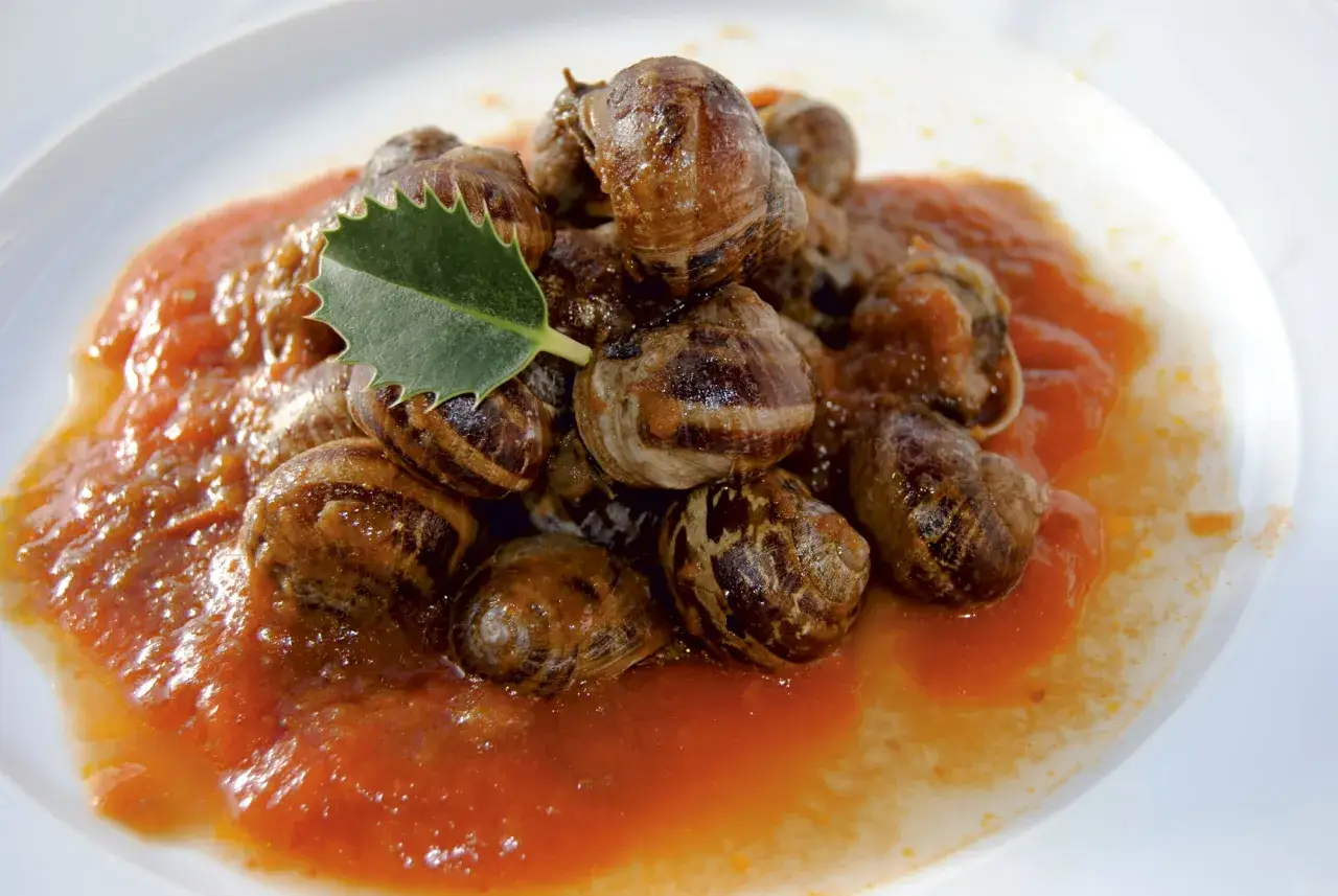 Deliciosos caracoles en salsa de tomate, un plato tradicional servido en una cazuela blanca, decorado con una hoja verde.