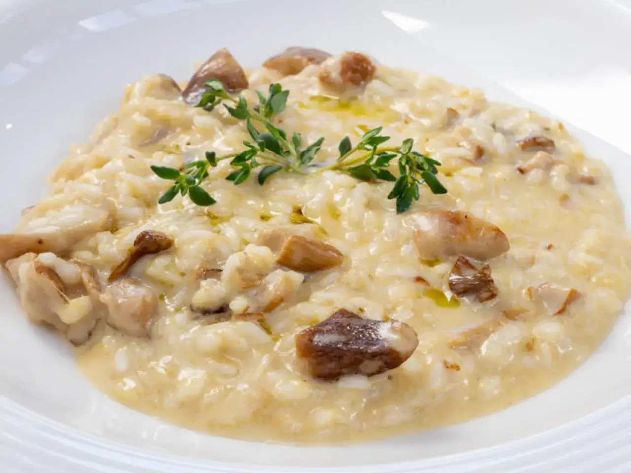 Cremoso risotto de boletus, con trozos de champiñones y una ramita de tomillo fresco, servido en un plato blanco.